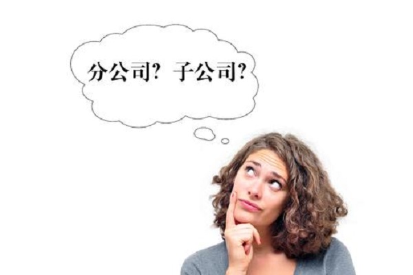注冊(cè)分公司與子公司的區(qū)別有什么？