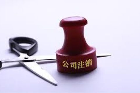 拉薩注銷一個公司，需要去幾個部門？整體時間需要多久？大概流程是怎樣的？