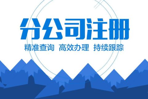 在拉薩設(shè)立分公司的流程、所需材料、辦理時間