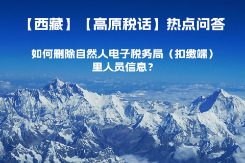 如何刪除西藏自然人電子稅務(wù)局（扣繳端）里人員信息？