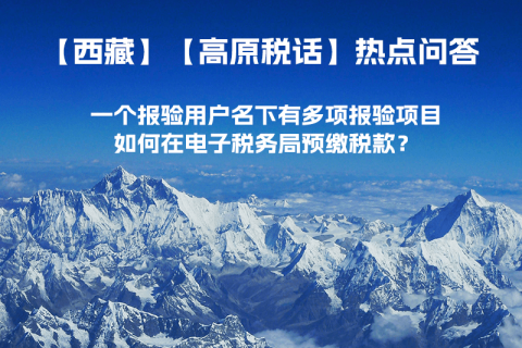 一個(gè)報(bào)驗(yàn)用戶名下有多項(xiàng)報(bào)驗(yàn)項(xiàng)目，如何在電子稅務(wù)局預(yù)繳稅款？