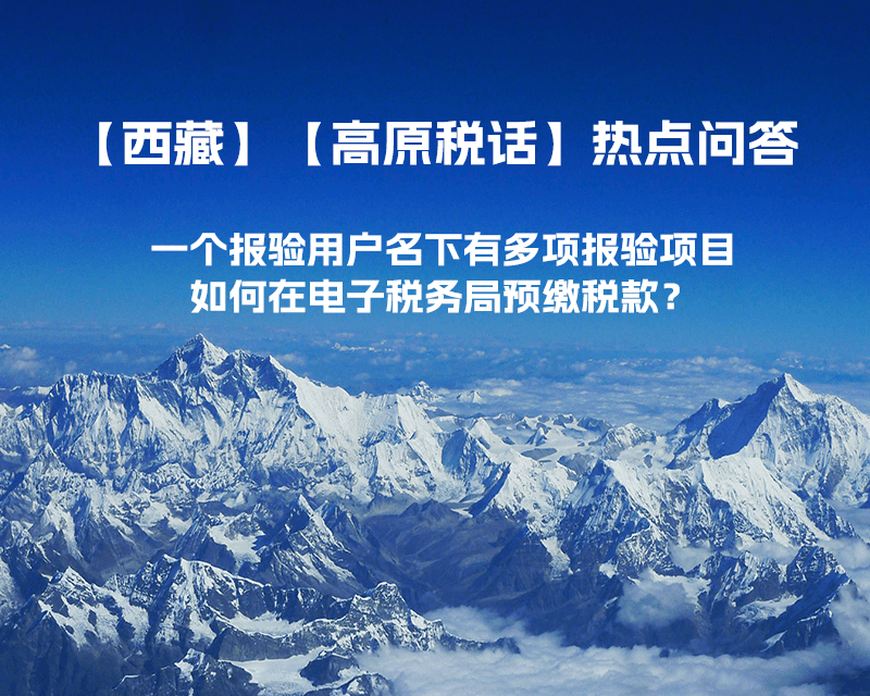 一個(gè)報(bào)驗(yàn)用戶名下有多項(xiàng)報(bào)驗(yàn)項(xiàng)目，如何在電子稅務(wù)局預(yù)繳稅款？