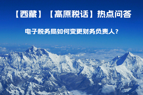 電子稅務(wù)局如何變更財(cái)務(wù)負(fù)責(zé)人？