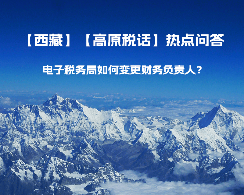 電子稅務(wù)局如何變更財務(wù)負(fù)責(zé)人？