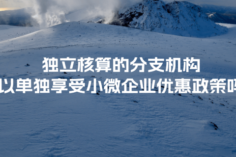 獨(dú)立核算的分支機(jī)構(gòu)可以單獨(dú)享受小微企業(yè)優(yōu)惠政策嗎？