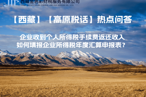 企業(yè)收到個(gè)人所得稅手續(xù)費(fèi)返還收入，如何填報(bào)企業(yè)所得稅年度匯算申報(bào)表？