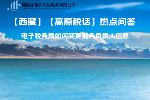 西藏電子稅務(wù)局如何變更財務(wù)負(fù)責(zé)人信息？