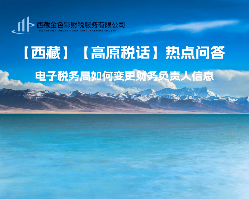 西藏電子稅務(wù)局如何變更財務(wù)負(fù)責(zé)人信息？