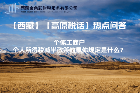個體工商戶個人所得稅減半政策的具體規(guī)定是什么？
